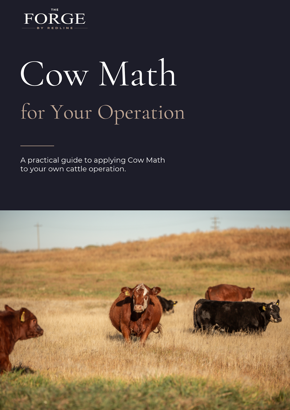 Cow Math for Your Operation guide cover