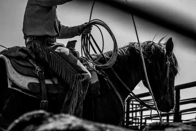 Cattle producer holding a rope beside cattle